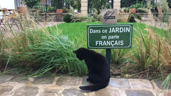 A black cat sits on a cobbled path in a garden beneath a green sign reading “Dans ce JARDIN on parle FRANÇAIS”